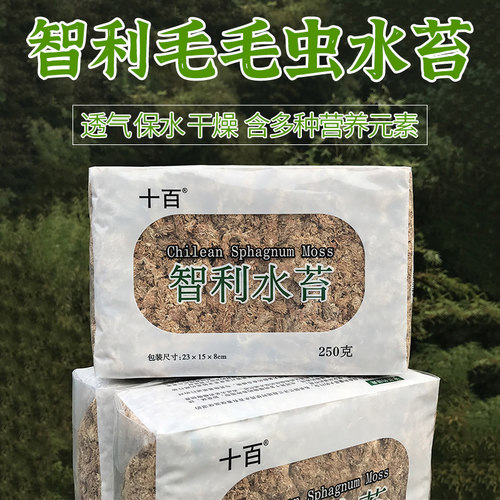 水苔苔藓销量排行榜 水苔苔藓品牌热度排名 小麦优选