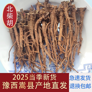 野生正品柴胡中药材500g豫西嵩胡北柴胡小柴胡柴胡根嵩胡2025新货