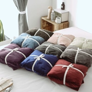 Mùa đông đơn giản ấm áp dày nhung san hô chăn đơn ngắn sang trọng duy nhất đôi nhung bìa - Quilt Covers