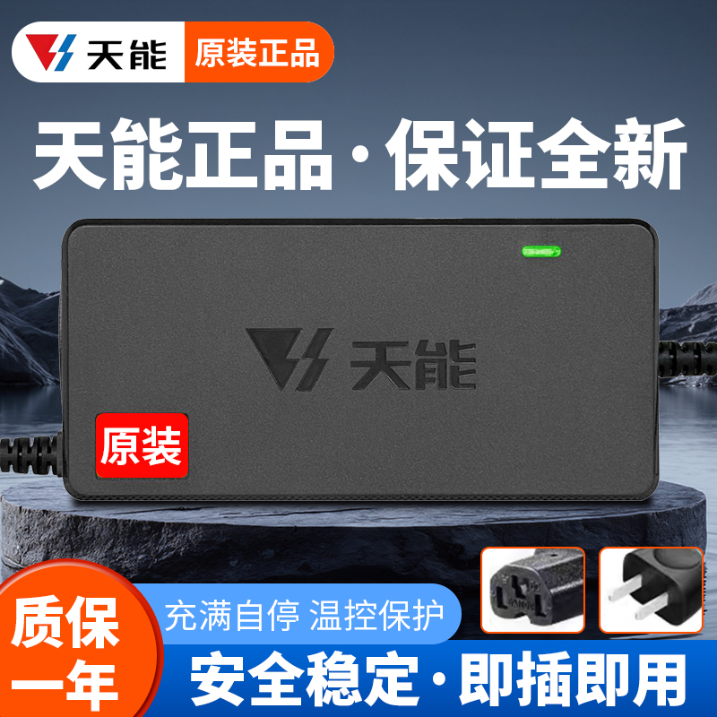 天能48V12A60V20A72V32A充电器