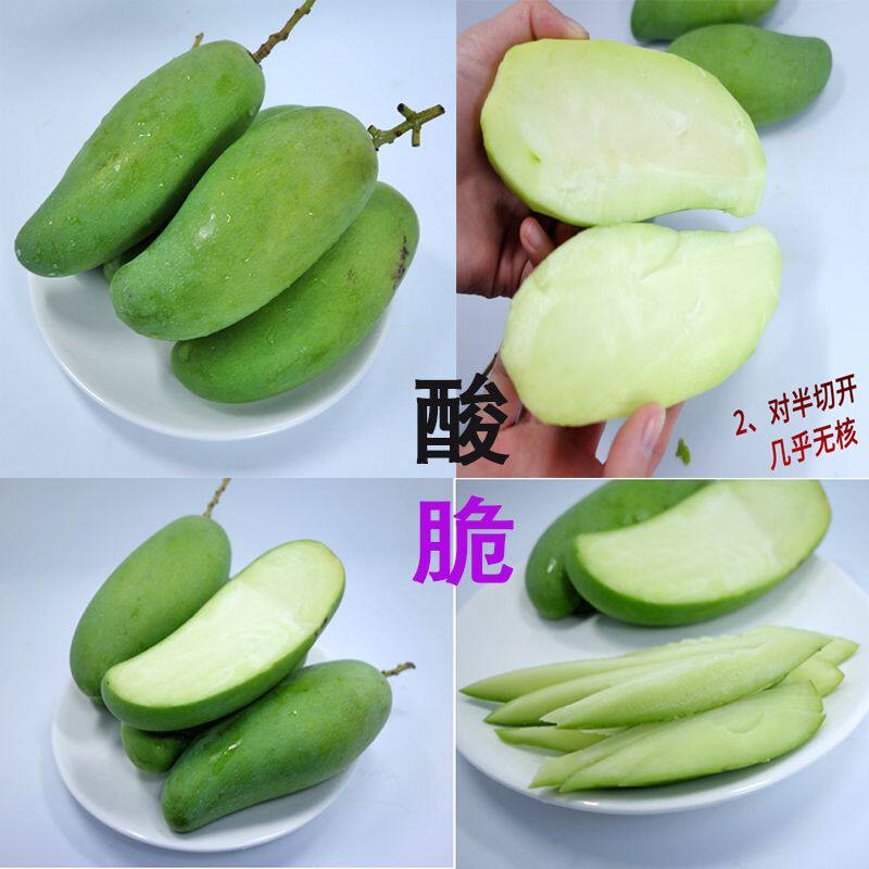 海南象牙芒生吃酸脆青芒果