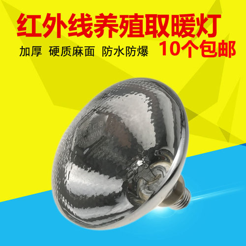 硬质加厚玻璃一体成型 耐烧耐摔