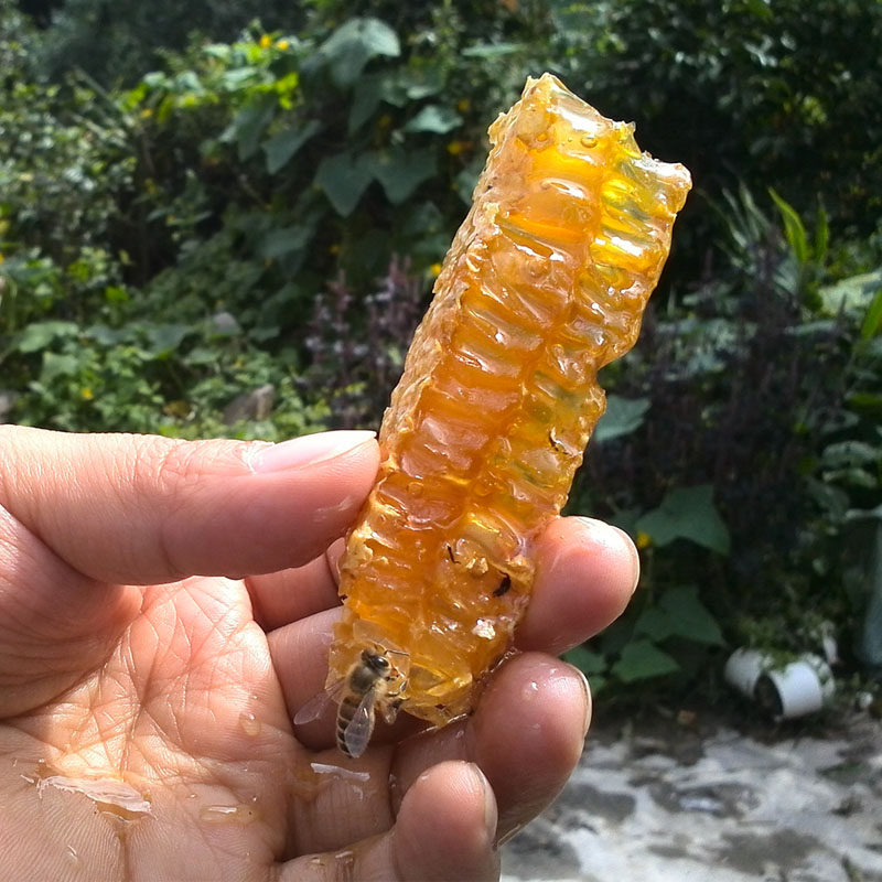 蜂蜜纯正天然农家自产木桶