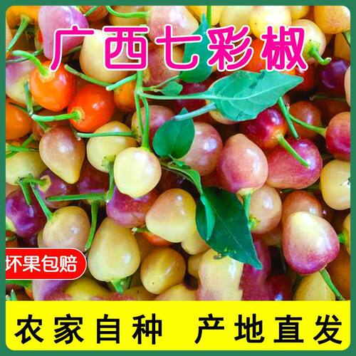 斤装广西特色七彩椒包邮香脆爽