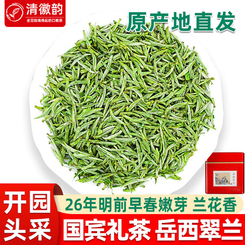 2026新茶开园头采早春嫩芽