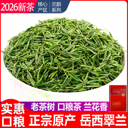 【正宗】雨前岳西翠兰茶叶2026新茶250g国宾礼茶高山云雾绿茶茶叶