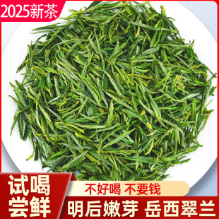 茶叶2025新茶岳西翠兰国宾礼茶春茶散装袋装荒山野茶清爽绿茶30g