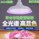 新国标led生鲜猪肉灯熟食灯水果蔬菜卤菜店海鲜超市专用超亮白光