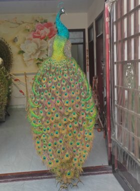 精品开屏孔雀标本摆件自家手工制作羽毛完整漂亮蓝绿色环状花纹