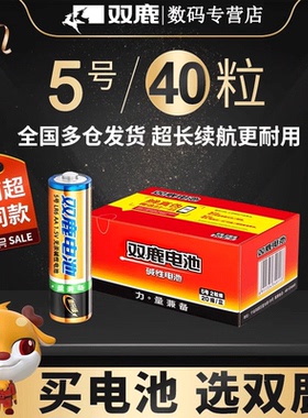 双鹿电池5号碱性五号干电池7号遥控器儿童玩具鼠标1.5V金色黄色