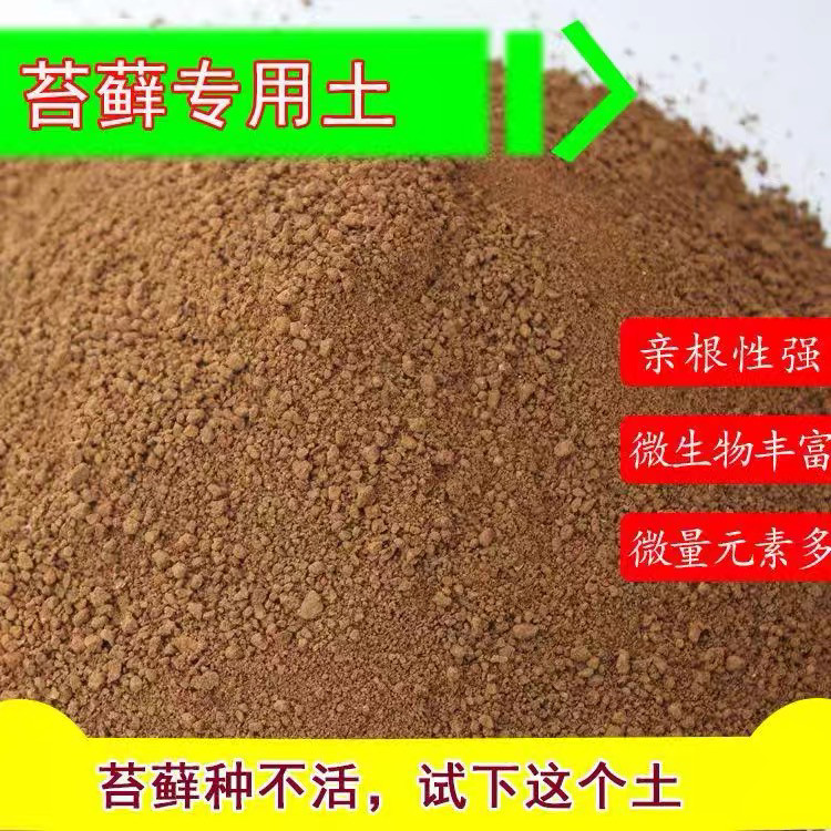 微景观苔藓泥造景专用土苔癣专用土黏土水缸坡体地面铺面黏土种泥
