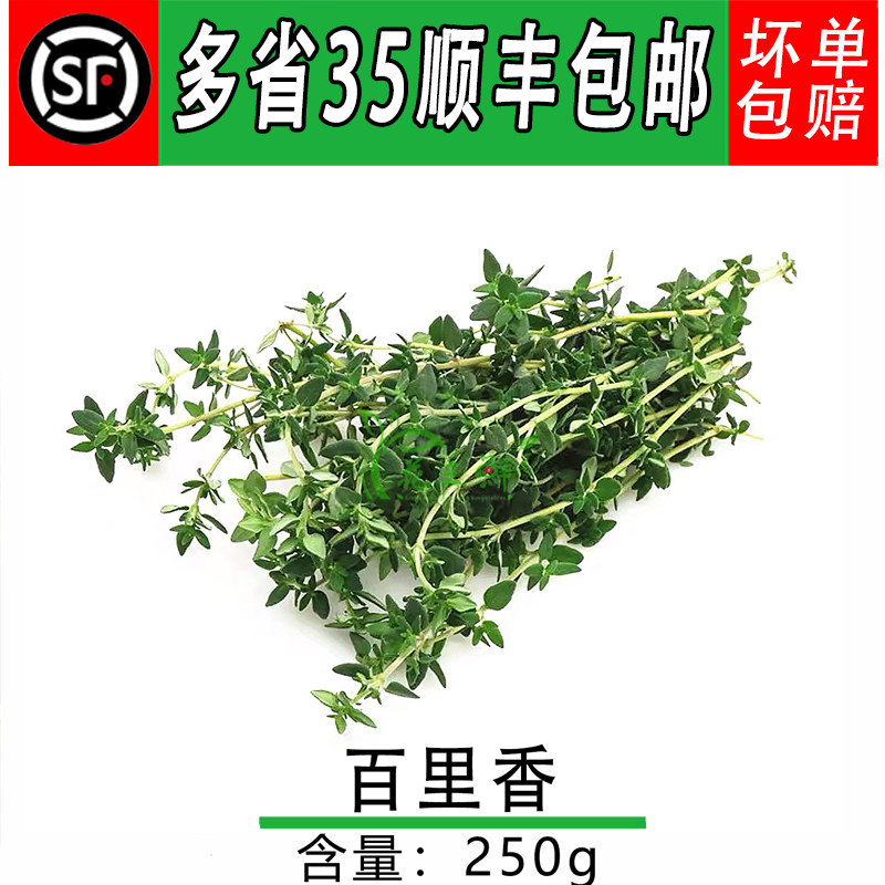 新鲜牛排香料百里香烤鸡香草烘焙