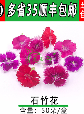 新鲜石竹花  石竹梅  酒店西餐摆盘装饰花 冷菜装饰点缀 50朵