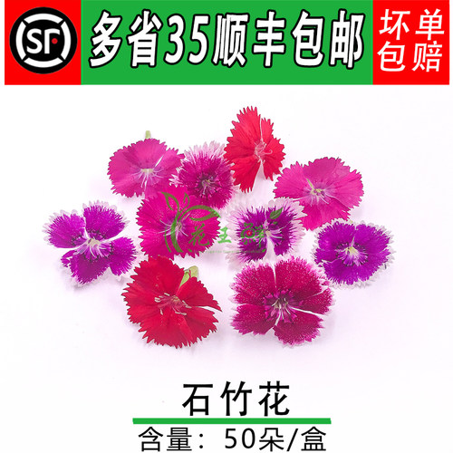 酒店西餐摆盘冷菜点缀50朵石竹梅