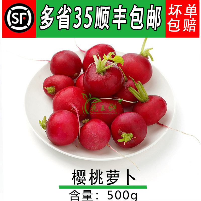 新鲜蔬菜 樱桃小萝卜迷你小萝卜 小红圆萝卜 蔬菜沙拉食材500g