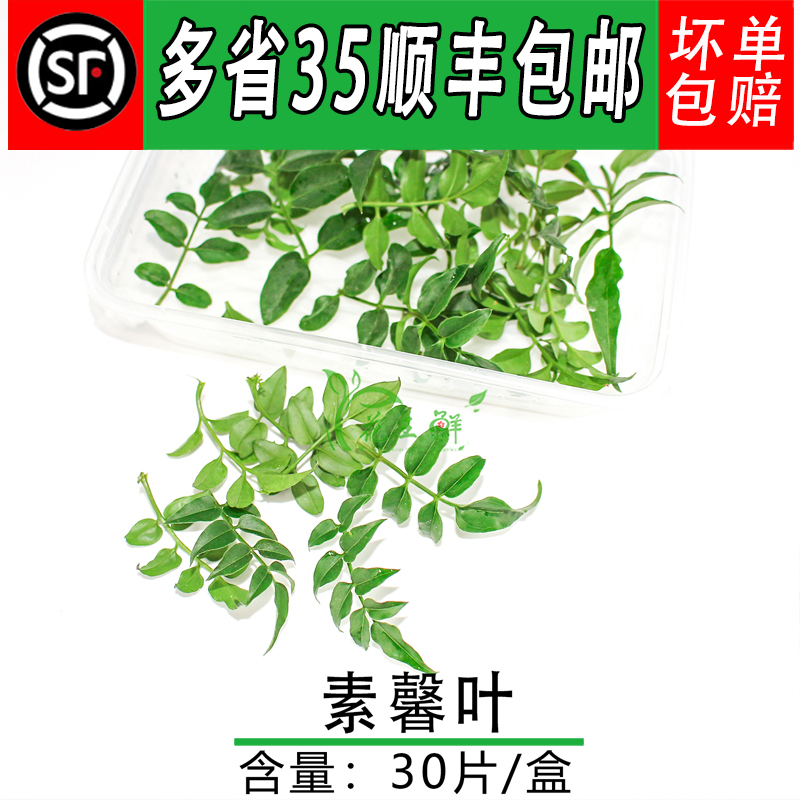 新鲜素馨花叶 30片/盒非幸运星日料西餐酒店餐饮摆盘装饰点缀花草