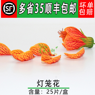新鲜灯笼花 金玲花 风铃花 灯笼花瓣25片 餐饮酒店摆盘装饰鲜花