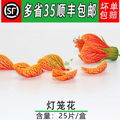 灯笼花花瓣美观摆盘装饰