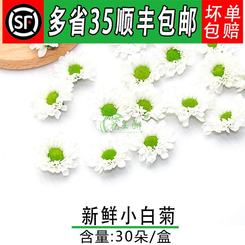新鲜彩菊 绿心白小雏菊  西餐摆盘 蛋糕烘焙饮品装饰点缀新鲜菊花