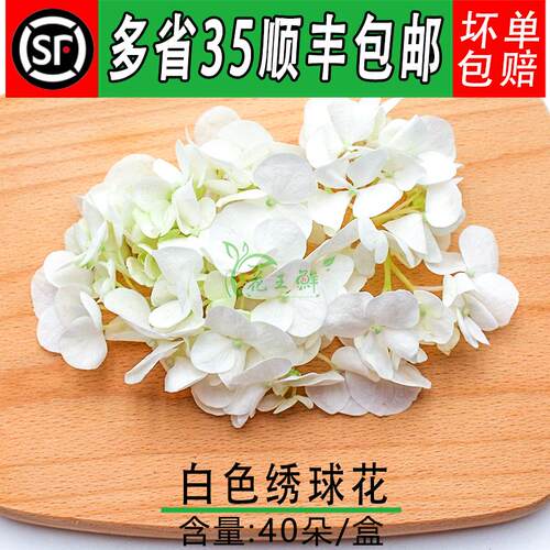 新鲜绣球花 白色绣球花 酒店饭店西餐冷艺摆盘装饰花草 40朵/盒