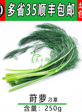 新鲜莳萝草 泰国香料 Dill 刁草 土茴香250g 江浙沪皖5件包邮