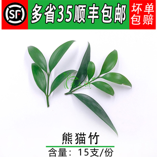 新鲜熊猫竹 酒店西餐摆盘日料装饰花草 非阔叶舞竹 15枝