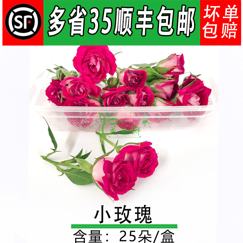 新鲜小玫瑰花朵 多头玫瑰花  酒店西餐摆菜盘 蛋糕装饰点缀