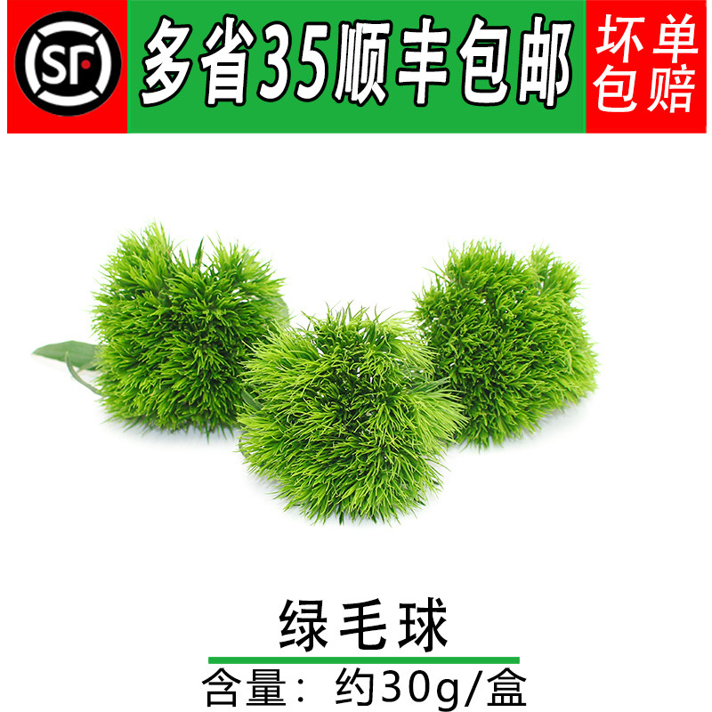 摆盘装饰四季新鲜绿毛球