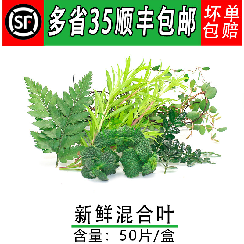 新鲜混合花草装饰餐饮摆盘鲜花草