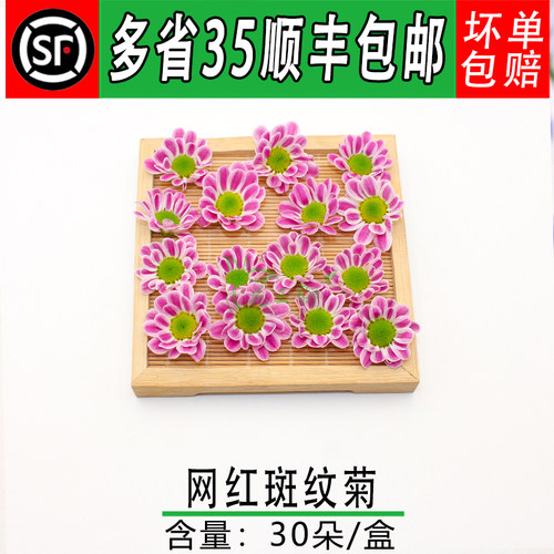 新鲜小雏菊 摆盘装饰花草 冷艺酒店海鲜装饰花草 网红斑纹菊 雏菊