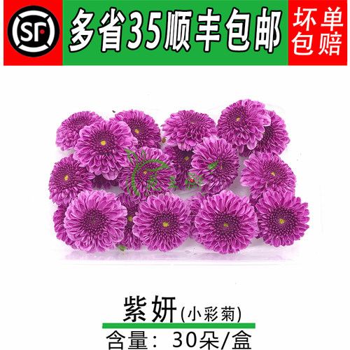 新鲜蛋糕小菊花5盒包邮