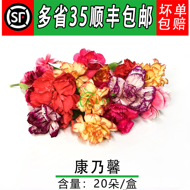 新鲜 康乃馨花朵 鲜花 多色康乃馨 酒店西餐摆盘蛋糕装饰