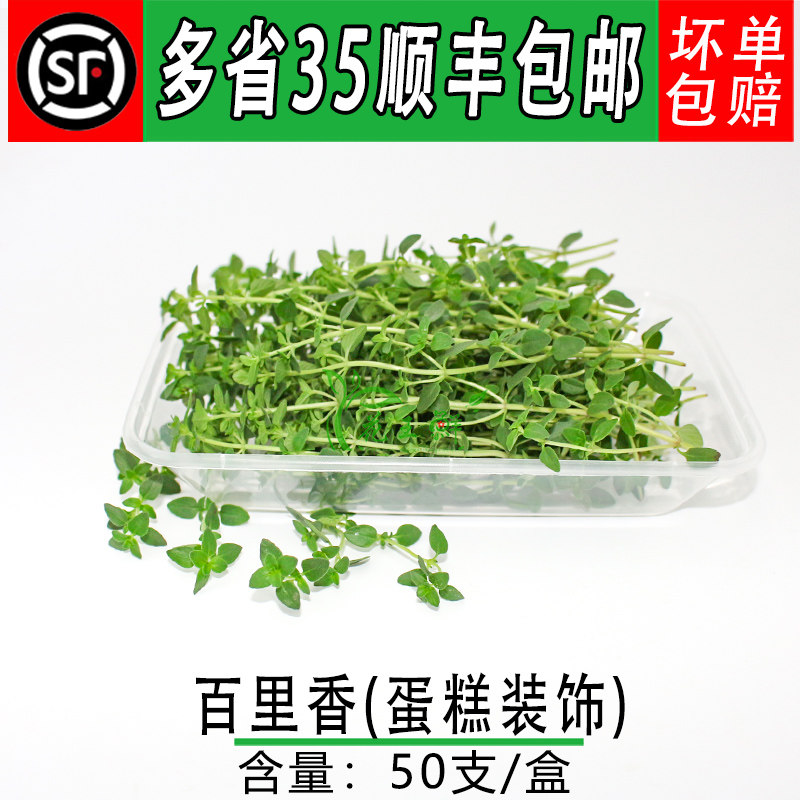 新鲜百里香可食用烹饪香草蛋糕装饰迷迭香莳萝荷兰芹玫瑰烘焙摆盘
