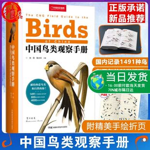 中国鸟类观察手册 中国鸟类行为动物科普图鉴 珍惜森林草原野鸟形态鸟类图鉴野生动物百科观鸟手册鸟类大全