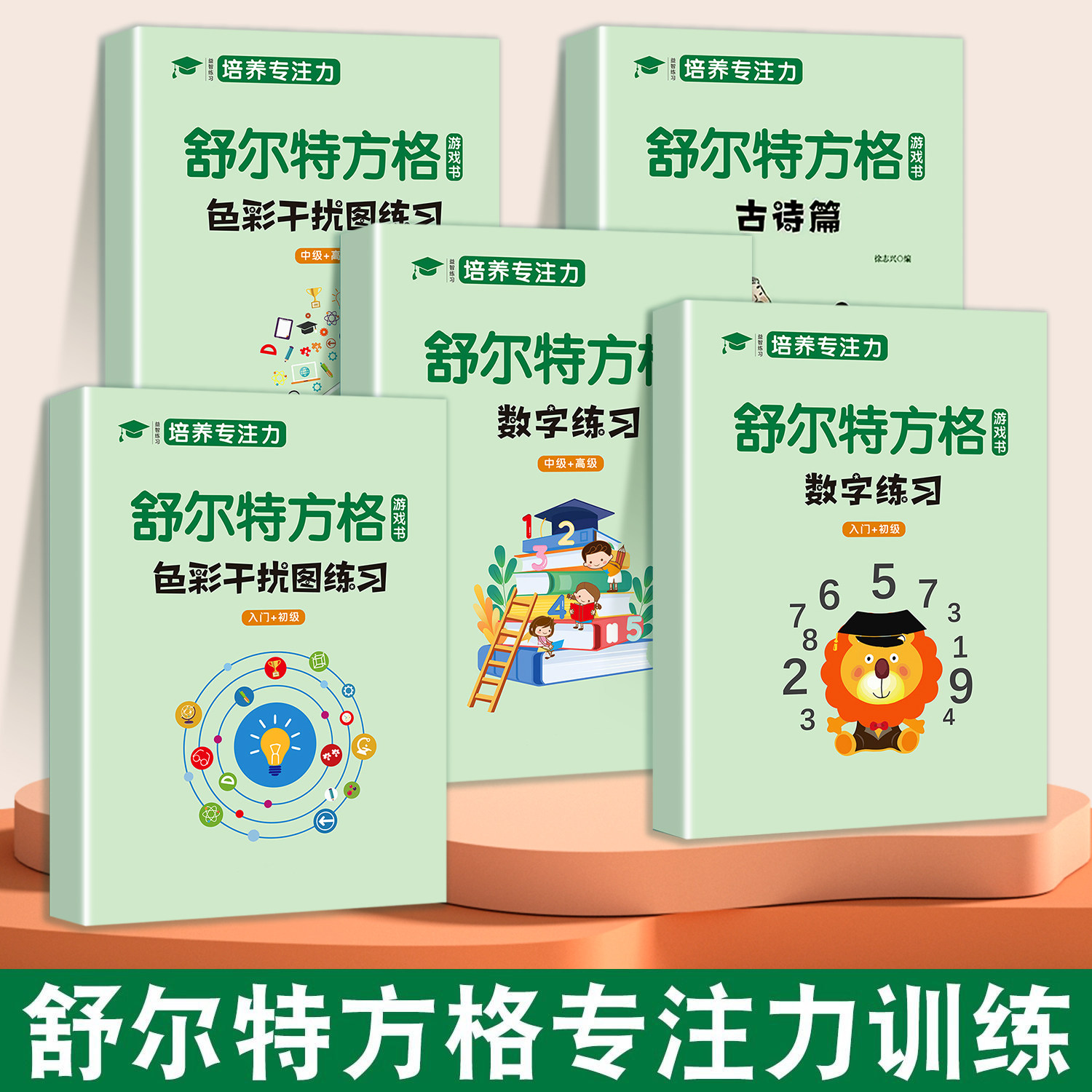 全套5册 舒尔特方格专注力训练数字色彩干扰图古诗篇练习初级中级高级练习册儿童思维逻辑开发训练找不同书注意力培养益智教材神器