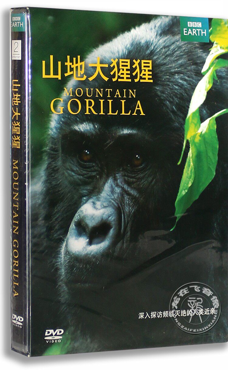 正版BBC记录片DVD光盘 山地大猩猩 精装DVD 英语原音 中文字幕