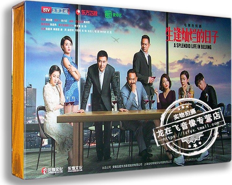 正版电视剧 生逢灿烂的日子 16DVD 精装版 张嘉译 姜武