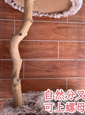 猫爬架主杆通天柱实木树干真猫树猫抓柱枯树支撑鸟站架猫窝猫玩具