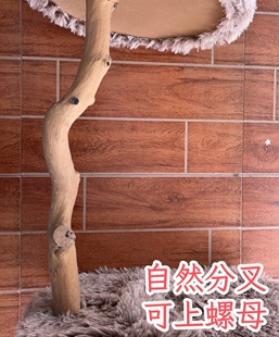 猫爬架主杆通天柱实木树干真猫树猫抓柱枯树支撑鸟站架猫窝猫玩具