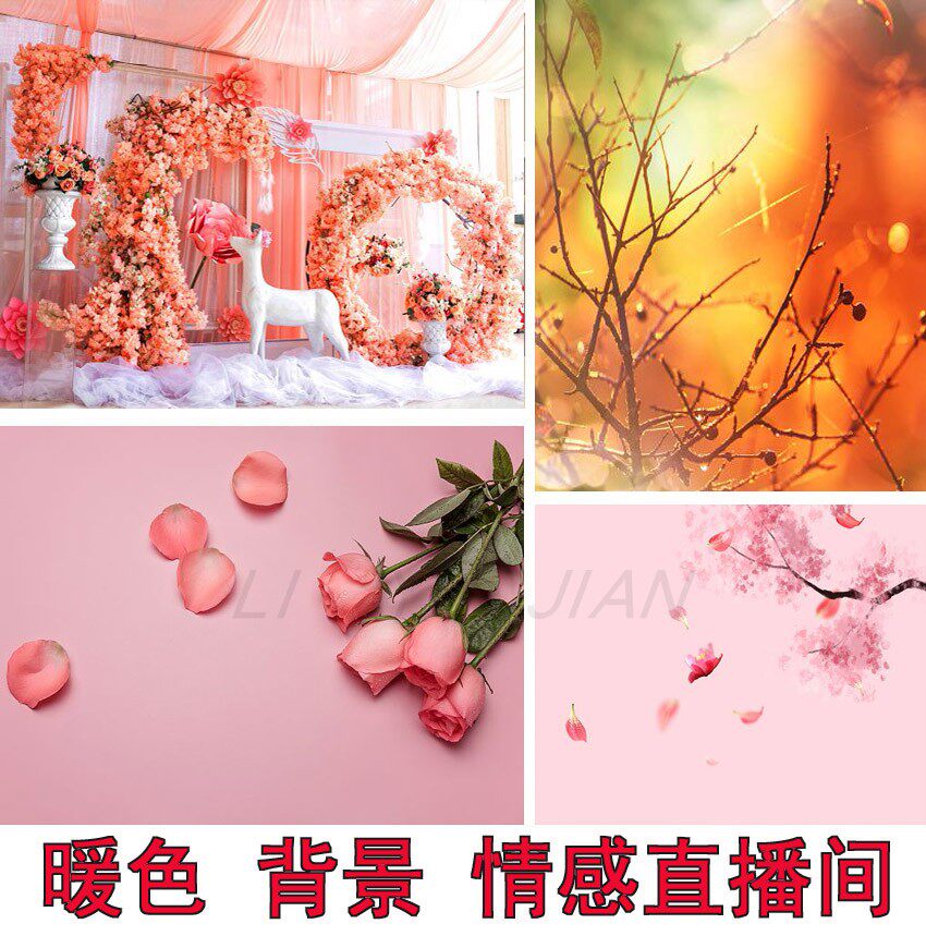 粉色情人节背景直播间背景主播背景直播背景吃播背景摄影背景加厚材质