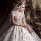 公主短袖 韩版 2025新款 新娘结婚主婚纱大拖尾森系小个子女 星河