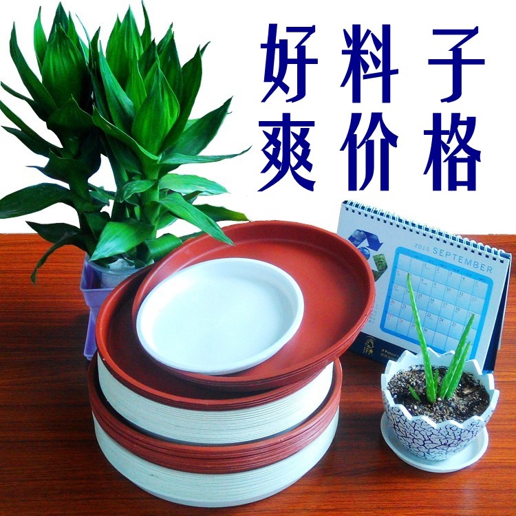 圆形花盆托盘底盘花托接水塑料圆形垫深垫底拖盘绿萝底托花盘底座,鲜花速递/花卉仿真/绿植园艺,花托/移动托盘,淘宝优惠券,粉丝福利购,淘宝优惠卷