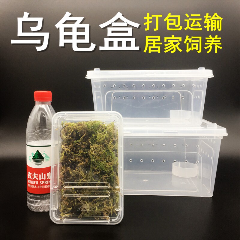 乌龟运输爬虫蜘蛛饲养盒子环保图片