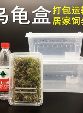 乌龟运输爬虫蜘蛛饲养盒子环保