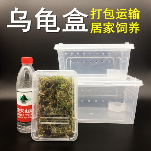 乌龟运输爬虫蜘蛛饲养盒子环保