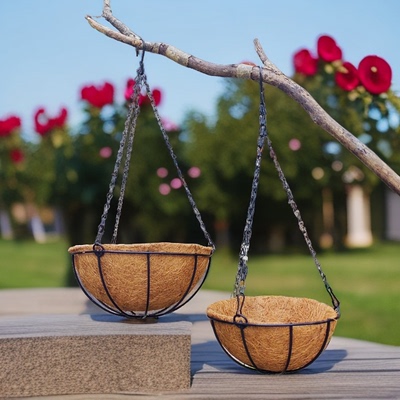 天然椰棕吊兰绿萝多肉花盆花篮