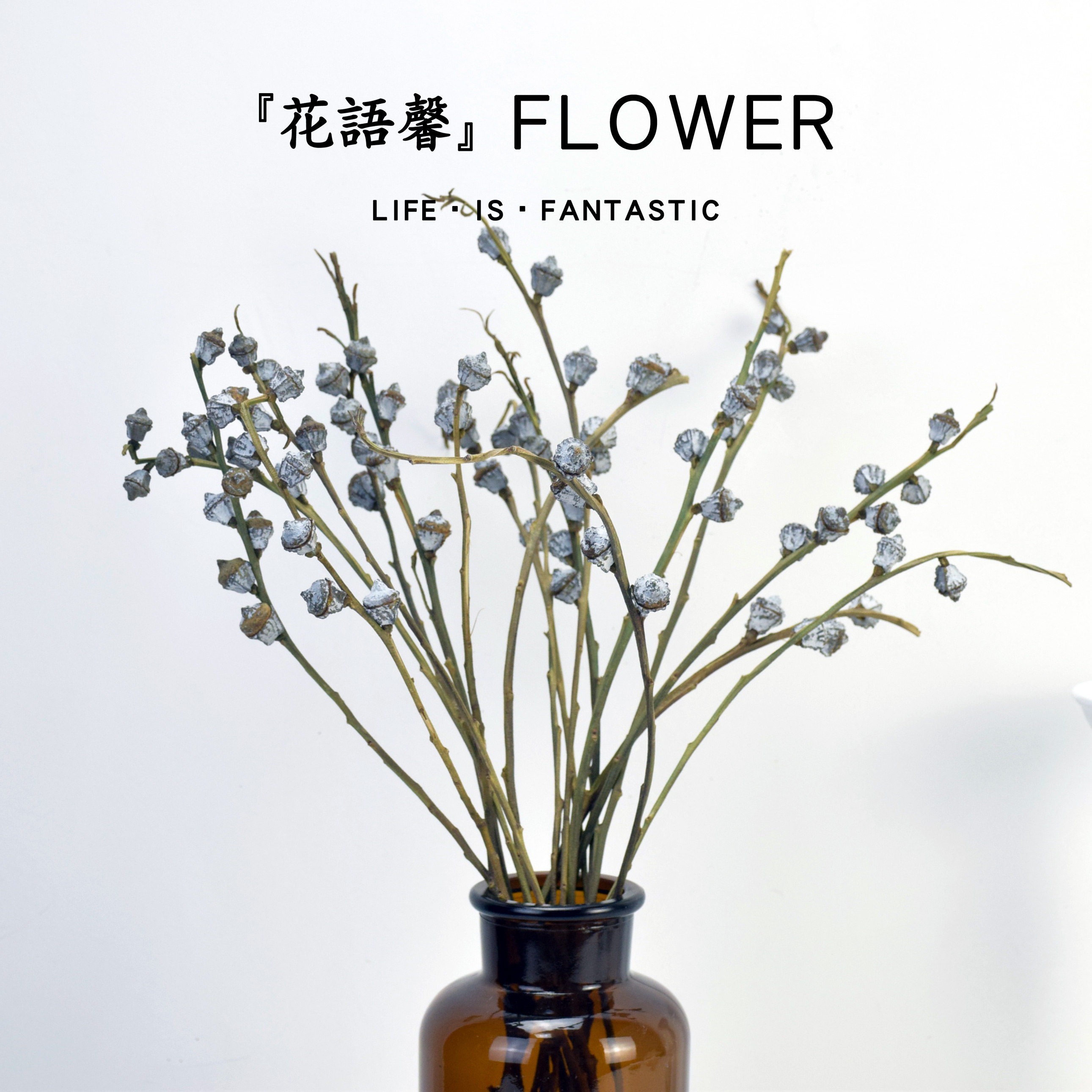 ins日韩风摄影干花尤加利果子桉树果干花干支摆拍拍照道具背景