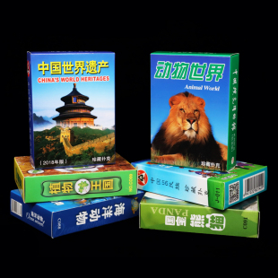卡通动漫扑克牌动物世界名车标志熊猫国旗扑克儿童早教启蒙纸牌