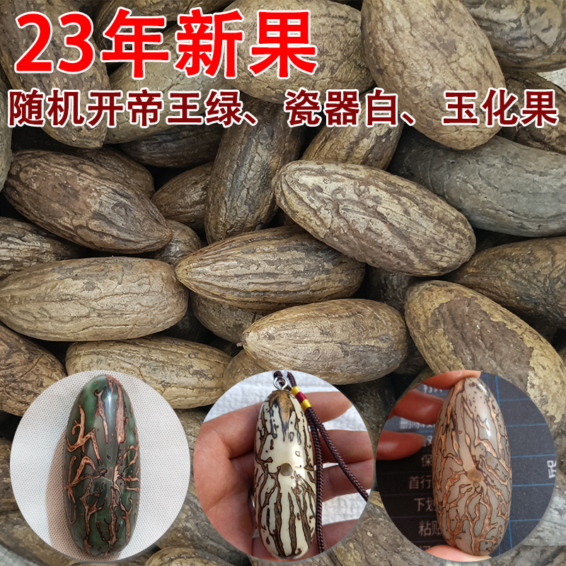 精选千眼菩提子原料果天然新果论斤手把件单颗绿果白果大果老料果