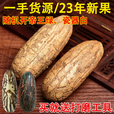 千眼菩提原料果白果绿果手把件